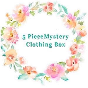 4 piece clothes mystery box tops sweaters skirt size Large